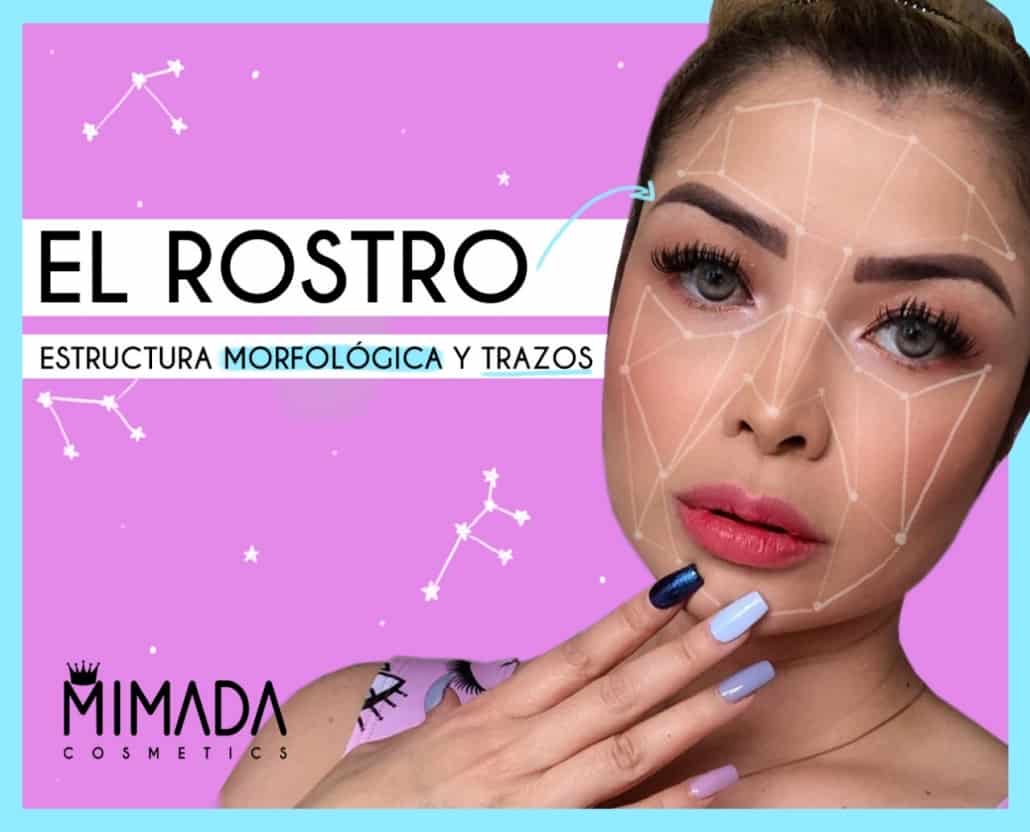 El rostro, estructura, morfológica y trazos.