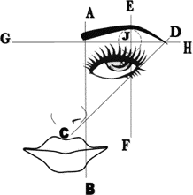 Identificación de la forma de la ceja y sus respectivas correcciones.