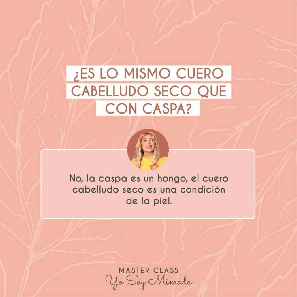 ¿ES LO MISMO UN CUERO CABELLUDO SECO QUE CON CASPA?